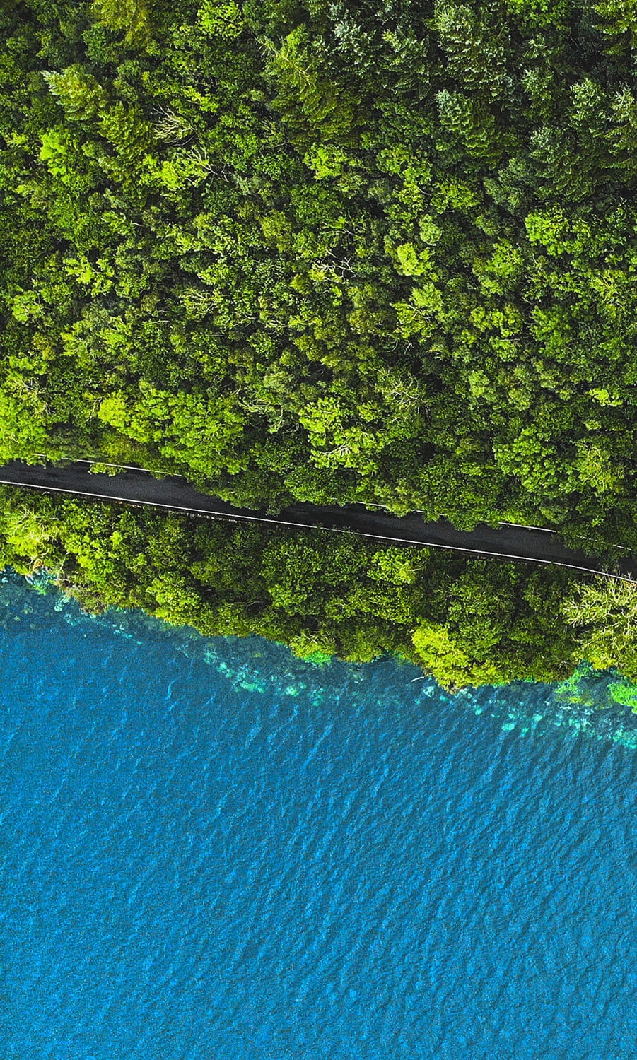 Aerial view of green forest, blue water, and a scenic road representing creativity and professional visual editing by Yedits.”